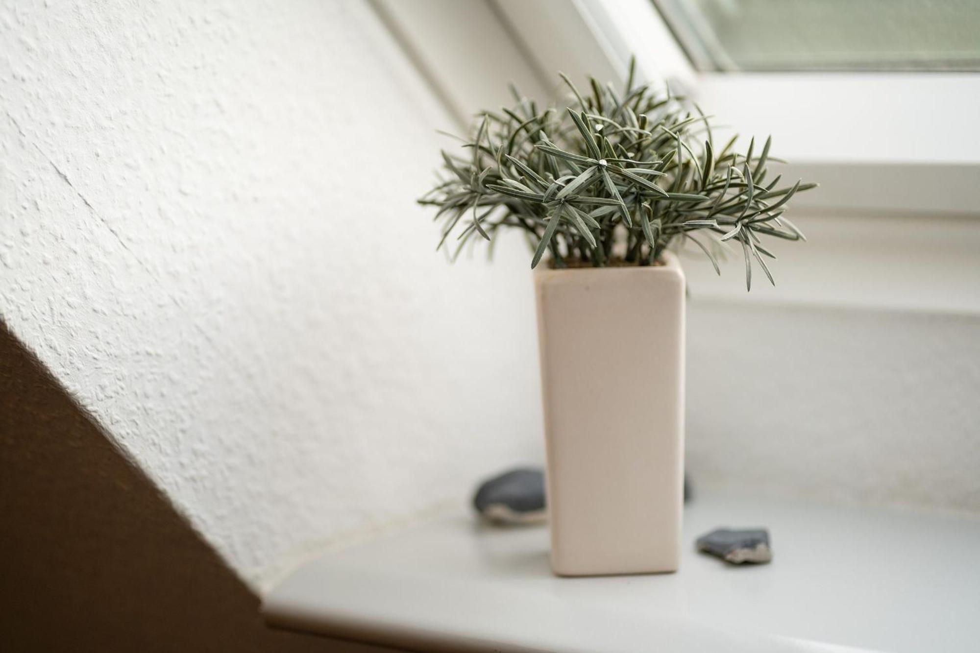 Ostlandstrasse 1 Silbermoewe Apartman Kellenhusen Kültér fotó